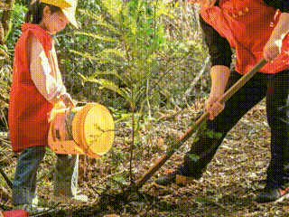 今日樹木，百年樹人——關工人的植樹節